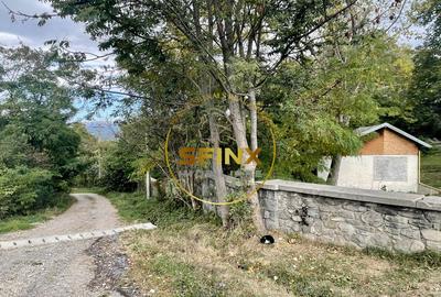 Vila Zoldy, 21.823 mp teren cu iesire catre paraul Prahova - 12
