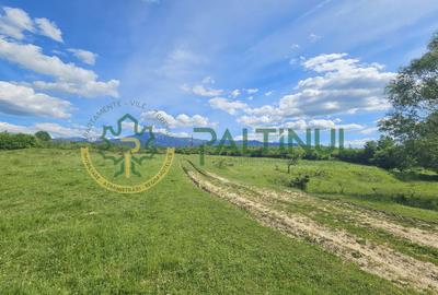 Teren de vânzare în Racovița, Sibiu – Valea Lupului - 3
