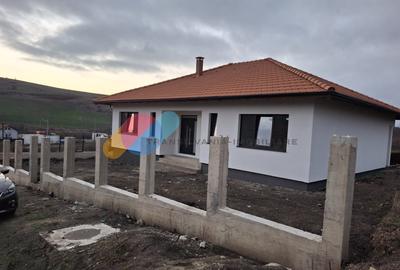 Casă individuală cu 3 camere în Moriști
