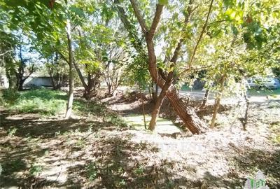 Vila 7 camere- 300 mpu+ curte 2000 mp- Giulesti- Sector 6 - 9