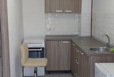 Apartament 2 camere mansardat Calea Calarasilor cu gradina A7 - 4