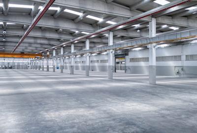 Complex industrial modern cu spații de birouri | Timișoara | România - 4