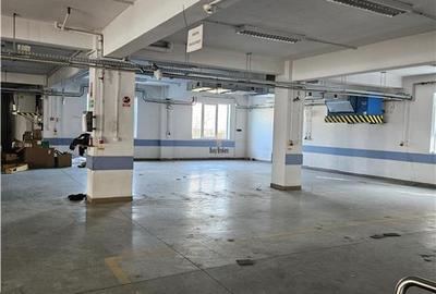 Exclusivitate - Proprietate Industriala De Vanzare - Productie - Depozitare - 4
