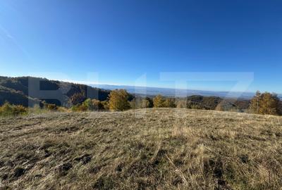 Teren agricol extravilan de 54722 mp, în Orăștie