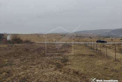 Teren intravilan în Chinteni – investiție (Necesita PUZ) - 3