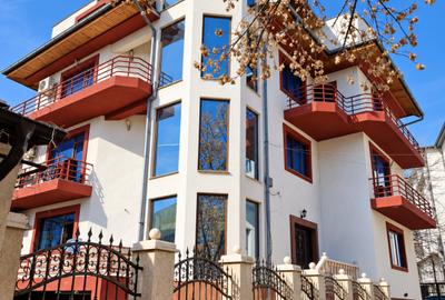 Casă individuală cu 18 camere în Timpuri Noi