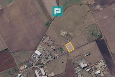 Teren industrial 6600mp, Săcălaz - 3