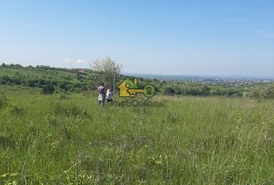 Teren Extravilan, Dealu Viilor, Lugoj - 7