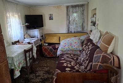 Casa 4 camere in Seitin Judetul Arad - 8