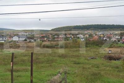 Teren Construcții intravilan de 3496 mp, în Chinteni