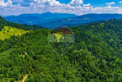 Refugiu în natură la Săcele | Teren 7.000 mp cu râu | Comision 0% - 12
