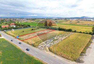 Teren Construcții intravilan de 2858 mp, în Bartolomeu