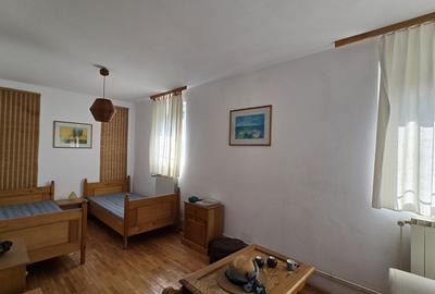 Vanzare vila P+1+M cu 5 camere, casa batraneasca , 2 garaje, teren 9249mp, - 8
