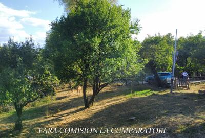TEREN 5274 MP, CADRU NATURAL MINUNAT - 11
