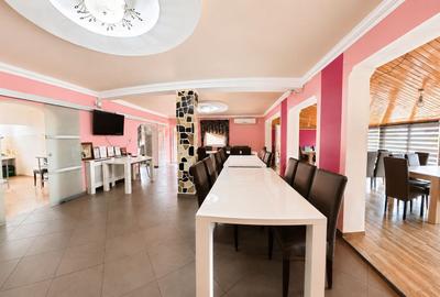 Afacere funcțională - Sală de Evenimente–Motel – Loc. Valea lui Mihai - 5