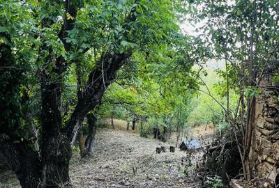 Teren 4.173 mp, front 60 m – Văliug, aproape de Lacul Gozna - 16