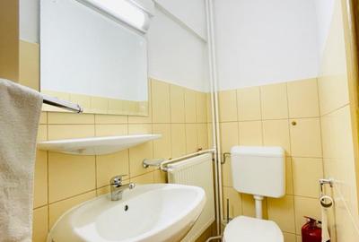 Apartament cu 3 camere de inchiriat in Piata Unirii - Fantani - 14
