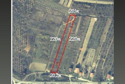 Teren Construcții intravilan de 4424 mp, în Călinești-Oaș