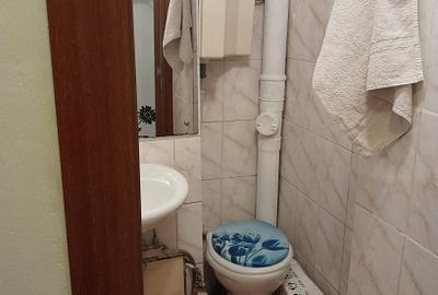 Teiul Doamnei-Doamna Ghica, Apartament 2 camere - 7