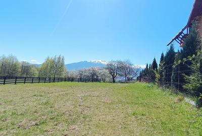 Teren intravilan cu priveliste frumoasa-Predelut - 9