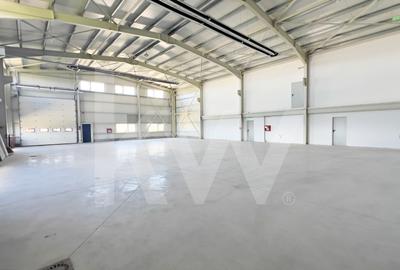 DE ÎNCHIRIAT — Hală producție/depozitare + birouri. Parcul Industrial Vest-Sibiu - 4