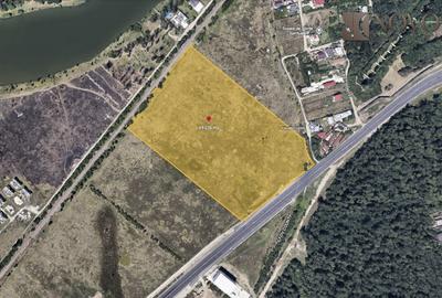 Teren Construcții intravilan de 49236 mp, în Mogoșoaia