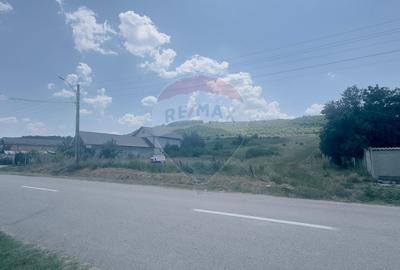 4.300 mp la principală, 1.345 mp intravilan, 18ml deschidere, Cotofeni - 2