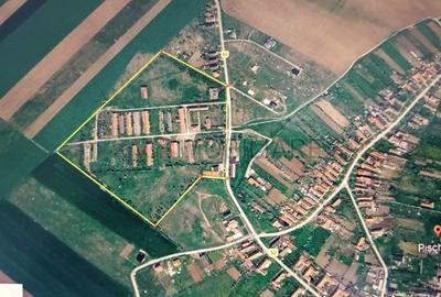 Teren agricol extravilan de 327 mp, în Pișchia