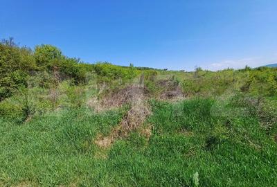 Teren Construcții intravilan de 6200 mp, în Sud