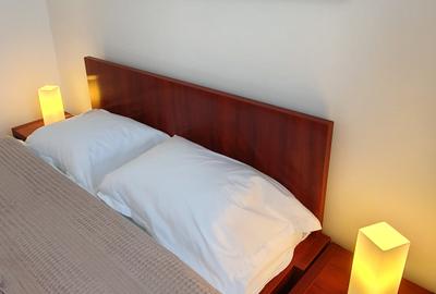 Inchiriere apartament 2 camere, Cismigiu-Luigi Cazzavillan - 11