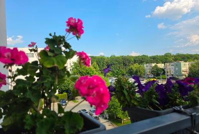 Apartament cu 2 camere semidecomandat, mobilat în Băneasa