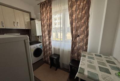 Apartament de inchiriat, o camera, decomandat, 29 mp, Valea Adanca - 4