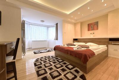 Apartament Spatios intr-o cladire cu Autorizatie ISU- 800 ml de Partie Ski - 7