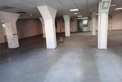 Spatiu Industrial - 500 mp - Productie - Depozitare - 12