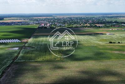 Teren Intravilan 20.000 mp Creața Dascălu, T66– dubla deschidere - 7