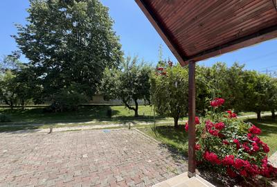 Investiție Turism | Casă | 5164 mp teren | Lac Propriu | Malu cu Flori - 11