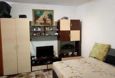 Casă cu 2 camere în Timocului-Șaguna