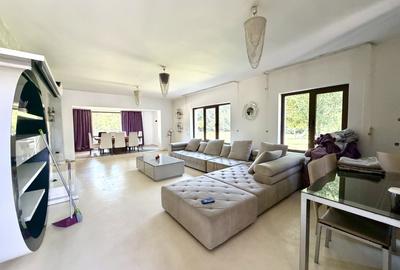 Domeniu Privat cu 3.278 mp Teren | Piscină, Iaz Ornamental și Reședință - 6