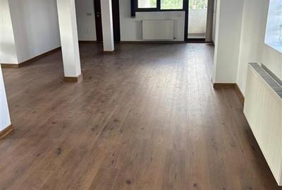 Spatiu spre inchiriere doar pentru FIRME Sos. Chitilei 413 - 4