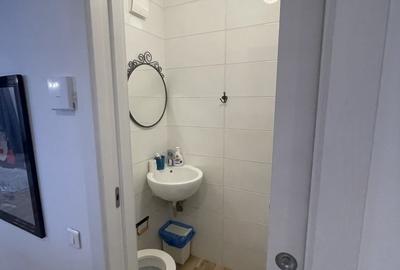 Apartament 3 camere de inchiriat Victoriei Titulescu - 13