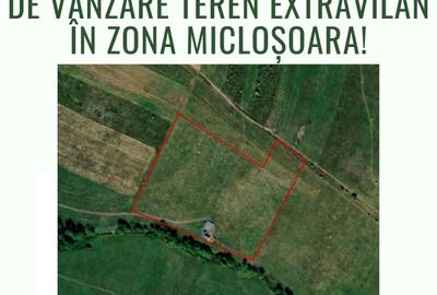 Teren agricol extravilan de 30000 mp, în Micloșoara
