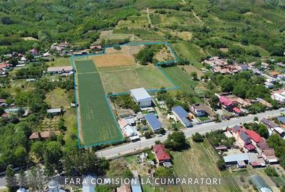 OPORTUNITATE UNICA IN DOMENIUL VITICOL - 13