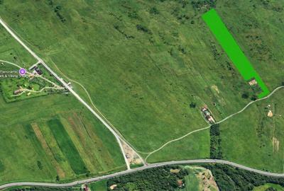 Teren de 8000 mp, în Avrig