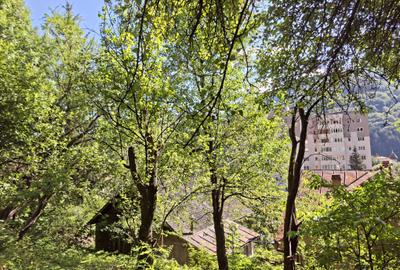 Teren de vânzare în Sinaia – 700 mp | Langa Hotel International! - 1