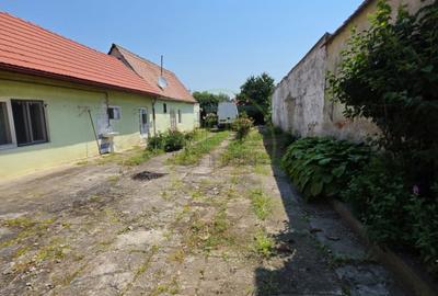 Casa la tara, Apoldul de Sus, 4 camere dormitoare, anexe, pivnita, teren 1200 mp - 6