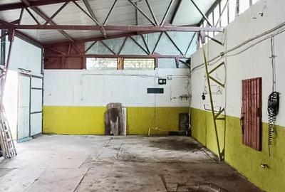 Proprietate cu 2 hale si casa la inchiriat,teren 1350mp - 13
