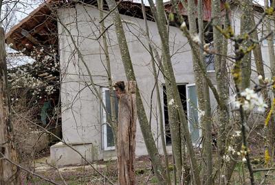 Teren intravilan + constructii in Hodis, jud Arad - 11