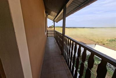 Casa individuala 5 camere garaj pivnita 250mp teren zona Gusterita - 11
