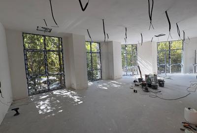 Spațiu Comercial / Birouri Premium de Închiriat | Bulevardul Unirii (737 mp) - 3