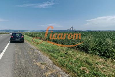 Teren intravilan 3,85 ha,Brasov DN 13 langa MILLE, OLYMPUS, ARKADA - 1